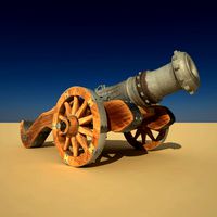 Old Cannon