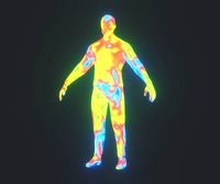 Human Thermal Image Heatmap Male