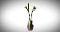 Lilly Flowers in Vase
