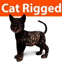 cute cat rigged