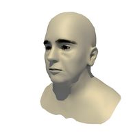 Rigged Obese 70 Year Old European Female Head Base Mesh V2