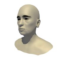 Rigged 70 Year Old European Female Head Base Mesh V2