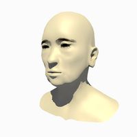 Rigged 70 Year Old Asian Female Head Base Mesh V2