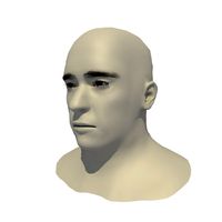 Rigged 45 Year Old European Male Base Head Mesh