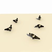 Animated Pigeons Standing Eating