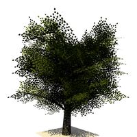 Realistic Tree Version 1