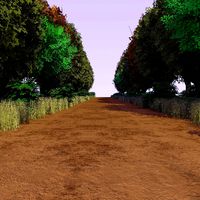 Forest Path 3