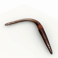 Earthworm