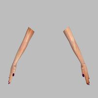 Female Arms and Hands