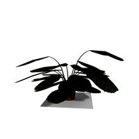 Cartoon Indoor Plant 7