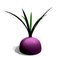 Indoor Plant 4