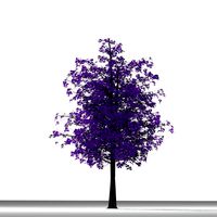 TREE 6