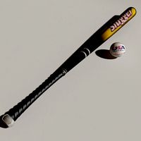baseball bat