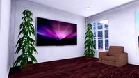 Plant Large SHC Quick Office LM