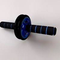 Gymnastic Roller