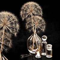 Decor set 12 Heracleum plant