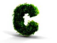 Alphabet Bush C
