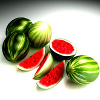 Watermelon Sandia