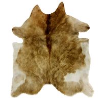 European Rug Cowhide 13