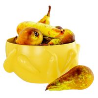 Decorative Vase with Patterns with Pears Conference