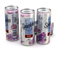 Beverage Can Zywiec Zdroj Sparkles Garden Berries 330ml Tall 2020
