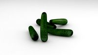 Vegetable Cucumber