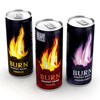 Beverage Can Burn 250ml Collection