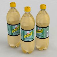 Beverage Bottle Schweppes Ginger Ale 1L