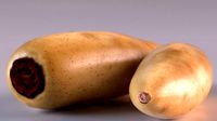 Lotus root vegetable delicacy