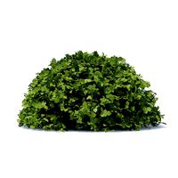 Half-Sphere Hedge