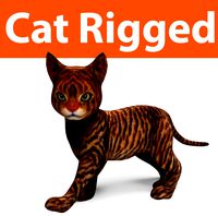 cat rigged