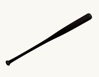 Baseball bat