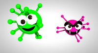 bugs