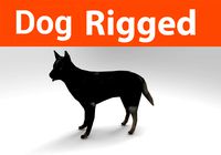 dog rigged(1)
