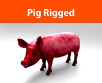 pig rigged