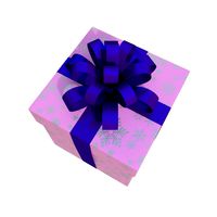 Christmas Box 09