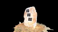 Grave 16 MICHALEK