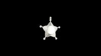 Condecoracion Estrella