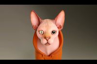 Sphynx Cat