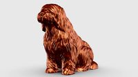 Bearded Collie 3D Print Model Pose 04