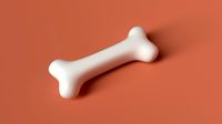 Cartoon Bone