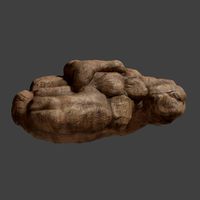Rock