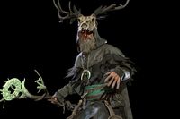 Druid for Starter Pack