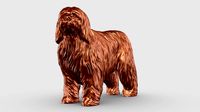 Bearded Collie 3D Print Model Pose 02