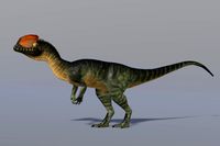 Dilophosaurus wetherilli