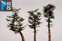 Stylised Pine Trees