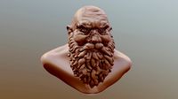 Dwarf