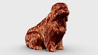 Bearded Collie 3D Print Model Pose 06