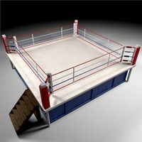 Box Arena 3D Model