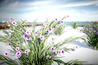 Flowers Tree Bundle